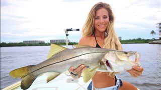 Step by Step HOW TO Catch a Snook During the Florida Mullet Run