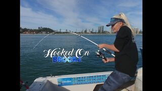 Dolly session off the Tweed Coast, Australia