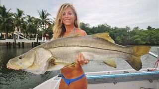 Inshore Saltwater Trolling for Big Snook Video