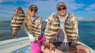 SHEEPSHEAD (Catch Clean Cook) Crunchy Fish Tacos! POOR MAN'S LOBSTER