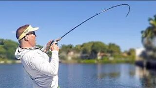 Inshore Fishing the Mullet Run. FISH EVERYWHERE!