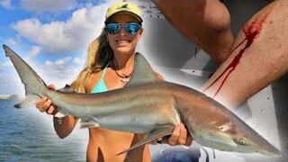 When Fish ATTACK Fishermen! Inshore SHARK Fishing!