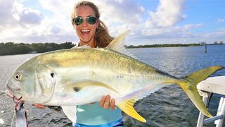 Catching MONSTER JACKS with Huge Shark Baits Inshore Fishing!