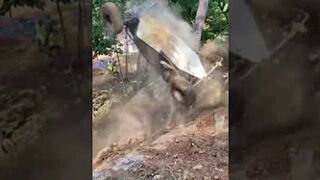 RZR Buggy Hill Climb 180 #shorts