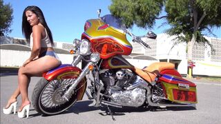 Harley Davidson Softail Custom Build cost $100,000